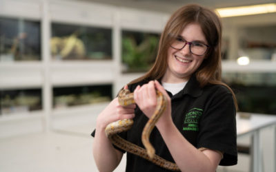 Animal Care – Level 2 Diploma