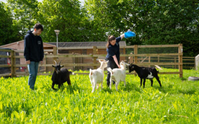 Animal Care – Level 2 Diploma