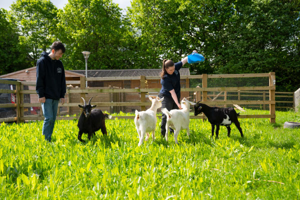 Animal-Care-Level-2-Diploma-at-Cronton-Sixth-Form-College-Widnes-Runcorn