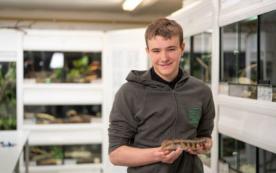 Animal Management – Level 3 Extended Diploma