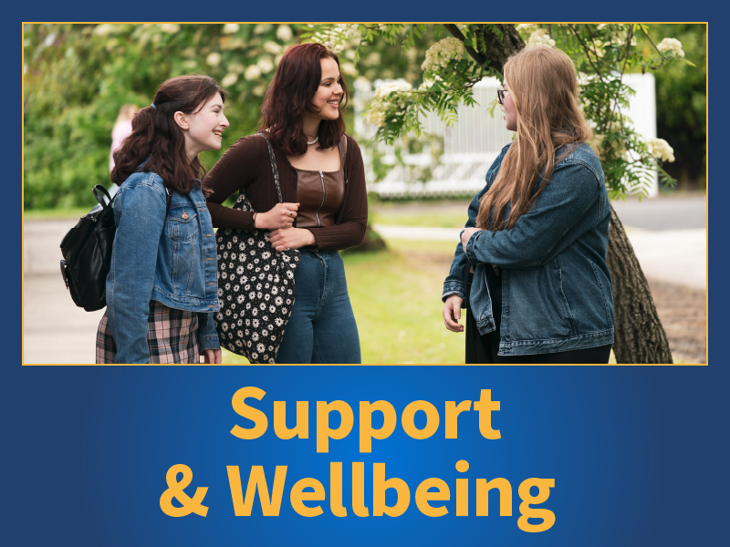 Support and Wellbeing