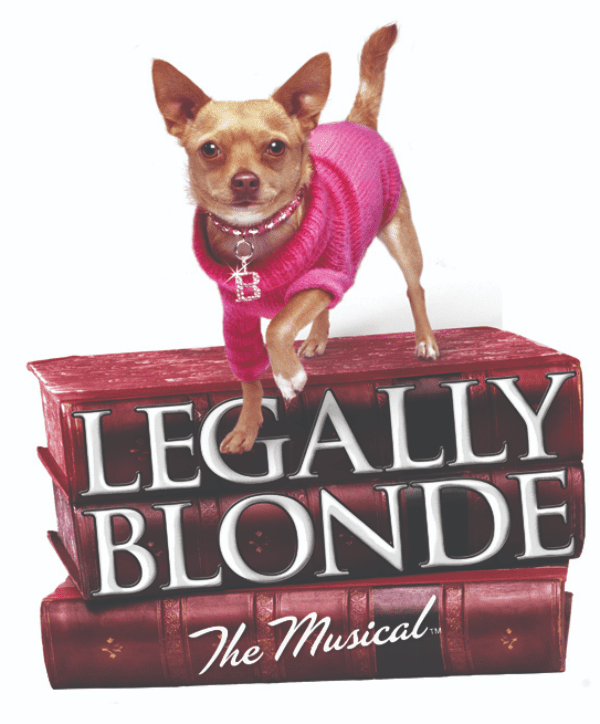 Legally Blonde The Musical