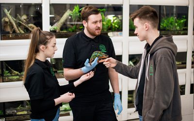 Courses Cronton Sixth Form College courses-cronton-sixth-form-college