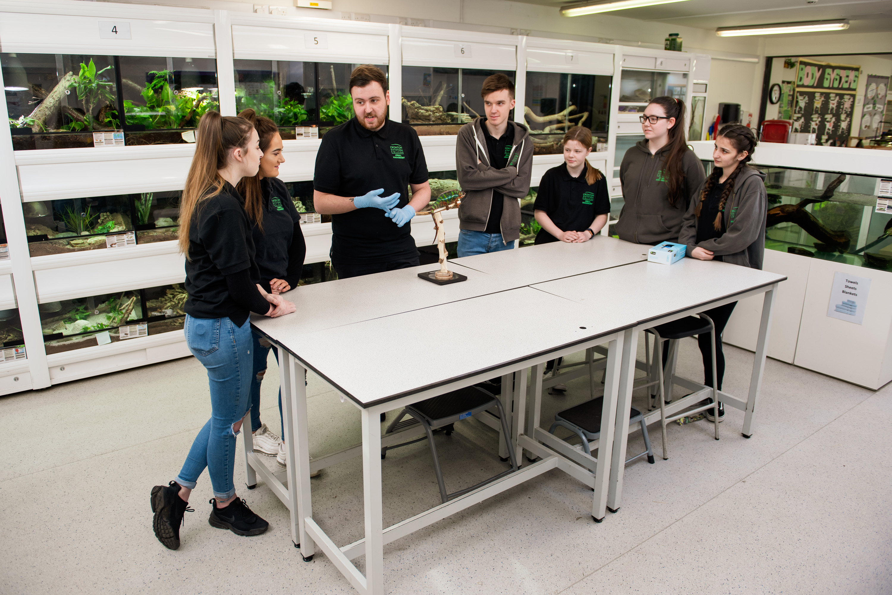 Animal Management Level 3 Learning Resources Cronton